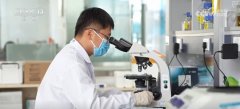 <b>摸索我国玉米籽粒机械化收割程度无望大</b>