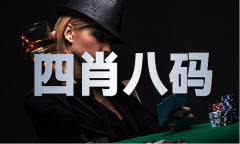 六今宝典_六今宝典下载不凡大师V6211(20