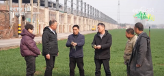 春意盎然 万象“耕”新 但愿的郊野上描