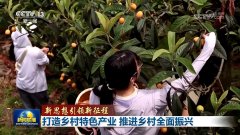 【新思惟引领新征程】打制村落特色财产