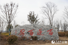 淮北杜集区：“国企联村”激活现代农业