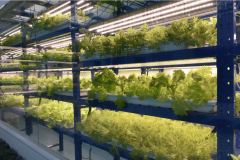 2025送来农业AI元年聪慧农业激活“新质出